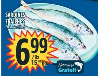 Marché Adonis Fresh sardines offer