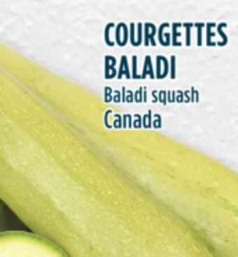 Marché Adonis Baladi squash offer