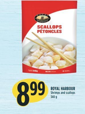 Royal harbour shrimps and scallops