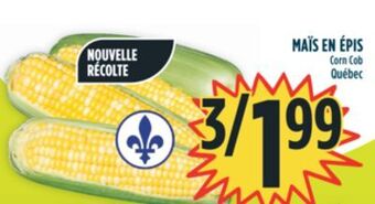 Marché Adonis Corn cob offer