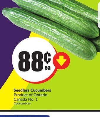 Chalo FreshCo Seedless cucumbers product of ontario canada no. 1 offer