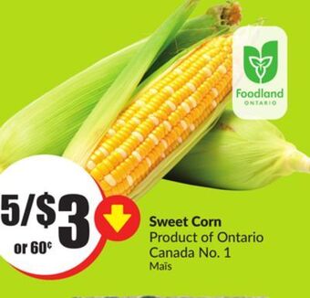 Chalo FreshCo Sweet corn product of ontario canada no. 1 offer