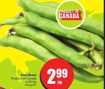 Chalo FreshCo Fava beans product of canada 6.59/kg offer