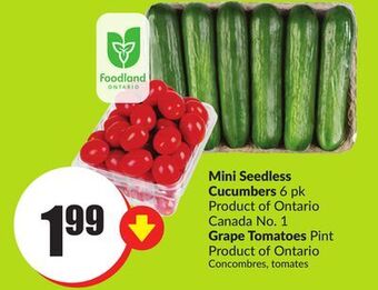 Chalo FreshCo Mini seedless cucumbers 6 pk product of ontario canada no. 1 grape tomatoes pint product of ontario offer