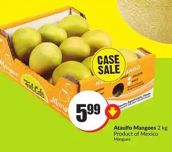 FreshCo Mangoes 2 kg product of mexico offer