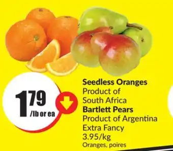 FreshCo Seedless oranges product of south africa 3.95/kg offer