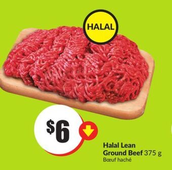 FreshCo Halal lean ground beef 375 g offer