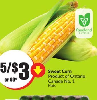 FreshCo Sweet corn product of ontario offer