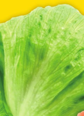 Giant Tiger Iceberg lettuce offer