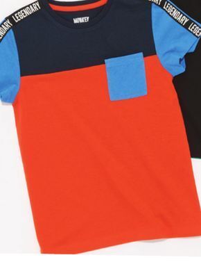 Giant Tiger Boy's colour block tee offer