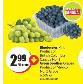 FreshCo Blueberries Pint offer