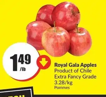 FreshCo Royal Gala Apples 1lb offer