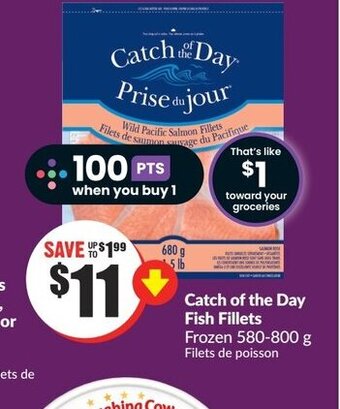 FreshCo Catch of the Day Fish Fillets Frozen 580-800 g Filets de poisson offer