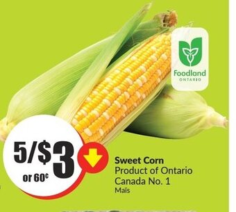 FreshCo Sweet corn offer