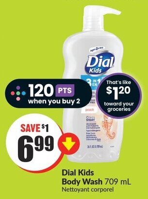 FreshCo Dial Kids Body Wash 709 mL offer