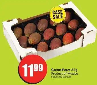 FreshCo Cactus pears 3 kg offer