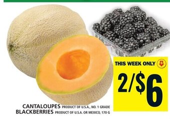 Food Basics CANTALOUPES OR BLACKBERRIES offer