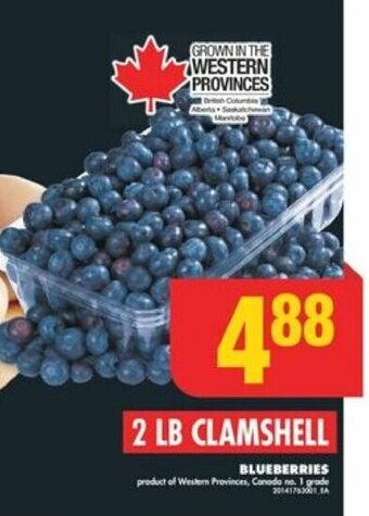 No Frills BLUEBERRIES offer