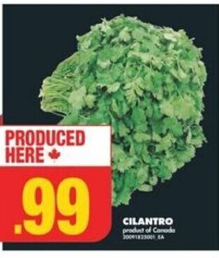No Frills CILANTRO offer