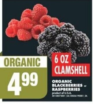 No Frills ORGANIC BLACKBERRIES or RASPBERRIES offer