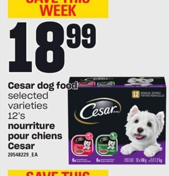 Independent City Market Cesar dog food, 12's offer