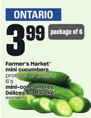 Independent City Market Farmer's market™ mini cucumbers, 6's offer