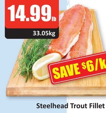 Starsky Steelhead trout fillet offer