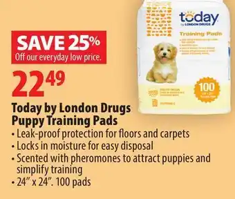 London Drugs Today by london drugs puppy training pads offer