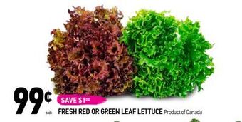 Coppa's Fresh Market Fresh red or green leaf lettuce offer