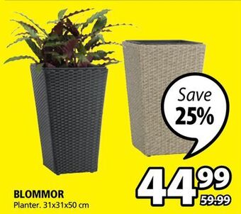 JYSK Blommor planter offer