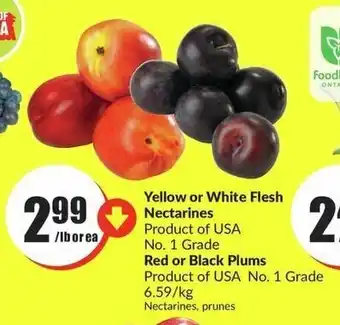 FreshCo Yellow or White Flesh Nectarines Red or Black Plums offer
