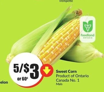 FreshCo Sweet Corn offer