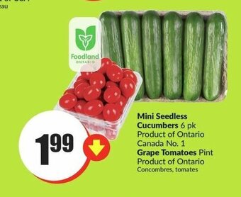 FreshCo Mini Seedless Cucumbers or Grape Tomatoes offer
