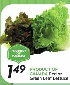 Sobeys Red or Green Leaf Lettuce offer