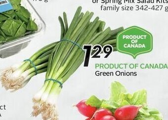 Sobeys Green Onions offer