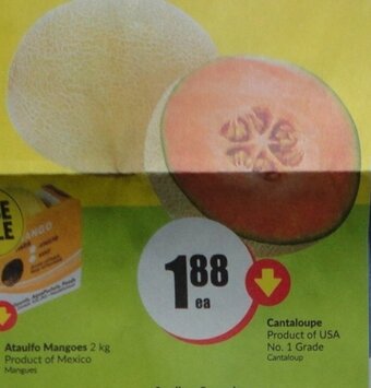 FreshCo Cantaloupe offer