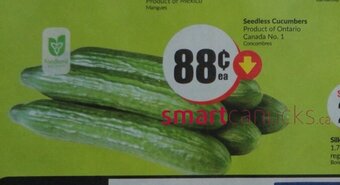 FreshCo Seedless Cucumbers offer