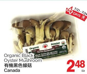 T&T Supermarket Organic black oyster mushroom offer