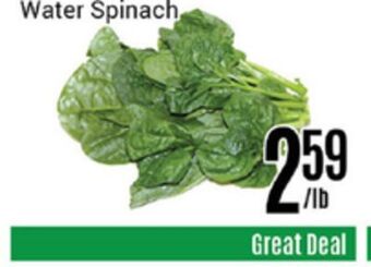 Nations Fresh Foods Water spinach offer