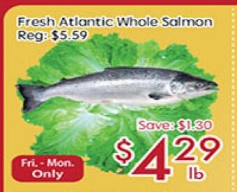 Sunny Food Mart Fresh atlantic whole salmon offer