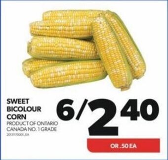 Real Canadian Superstore SWEET BICOLOUR CORN offer