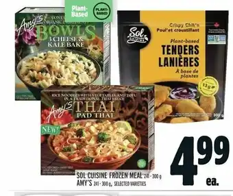 Metro SOL CUISINE FROZEN MEAL 241-300 g AMY'S 241-300 g offer