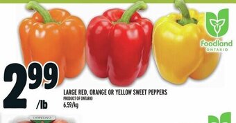 Metro LARGE RED, ORANGE OR YELLOW SWEET PEPPERS offer