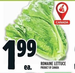 Metro Romaine lettuce offer
