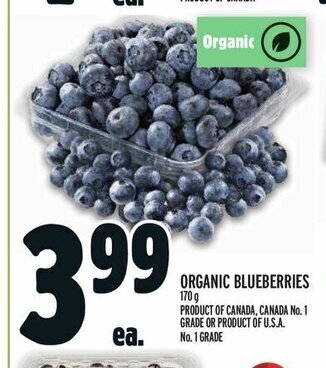Metro ORGANIC BLUEBERRIES 170 g offer