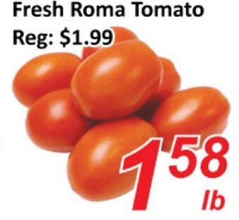 Fresh roma tomato