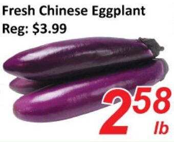 Seasons Foodmart Fresh chinese eggplant offer