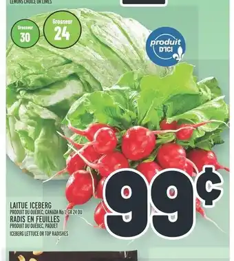 Metro LAITUE ICEBERG OU RADIS EN FEUILLES offer