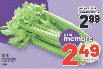 Metro CÉLERI offer