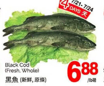 T&T Supermarket Black Cod offer